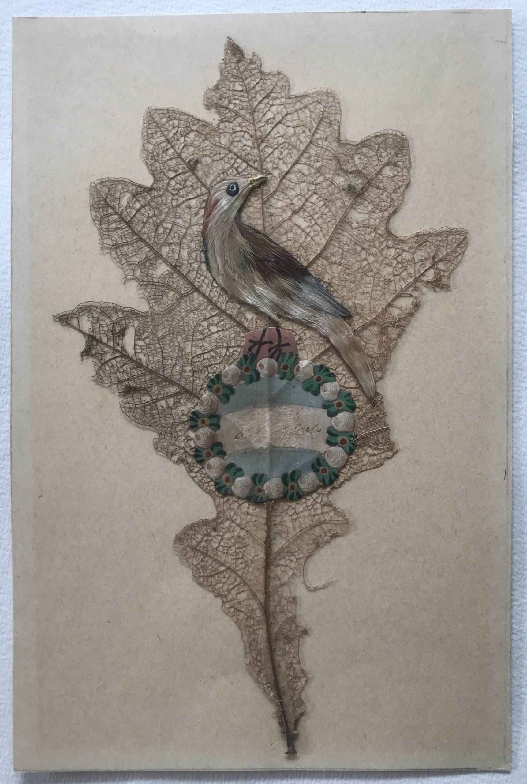 Composition. Dentelle végétale et oiseau de plumes.